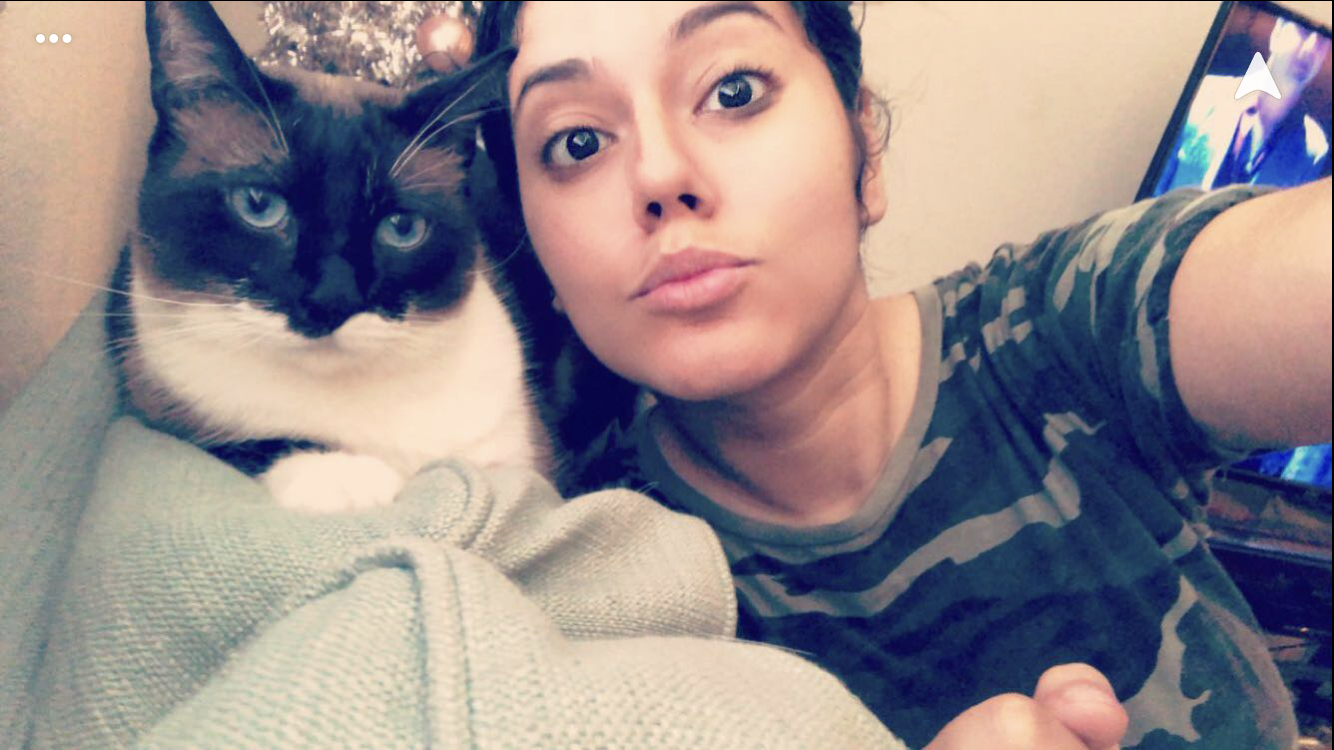 Cat selfies: Mocha and Rose